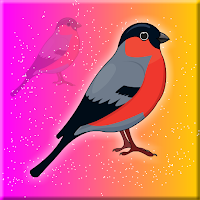 Free online html5 escape games - Eurasian Bullfinch Rescue