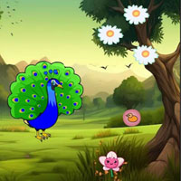 Free online html5 escape games - Help To Visit Peacock Pal