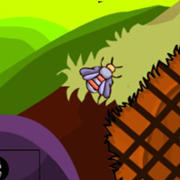 Free online html5 games - G2M Squirrel Land Escape game - WowEscape 