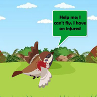 Free online html5 escape games - Assist The Troubled Bird