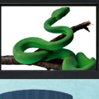 Free online html5 games -  8b Erudition Girl Escape  game - WowEscape 