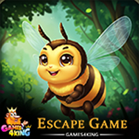 Free online html5 escape games - The Great Drone Escape Game