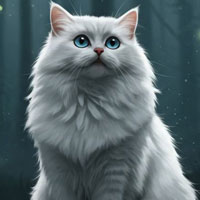 Free online html5 escape games - Fluffy White Cat Rescue