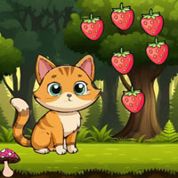 Free online html5 escape games - Serve The Starving Cat