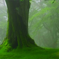 Free online html5 games - Avm Forest Wooden House Escape game - WowEscape 