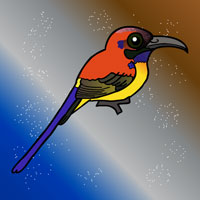 Free online html5 escape games - Help The Sunbird From Cage