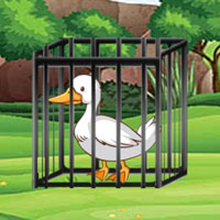 Free online html5 escape games - G2M White Duck Rescue