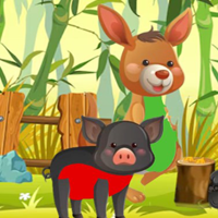 Free online html5 escape games - G2M Bamboo Bear Freedom Quest