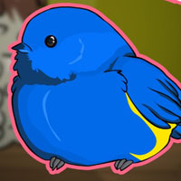 Free online html5 escape games - G2J Northern Parula Escape