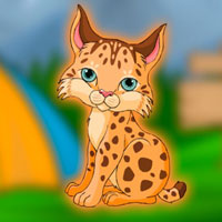 Free online html5 escape games - G2J Save the Lynx Rufus